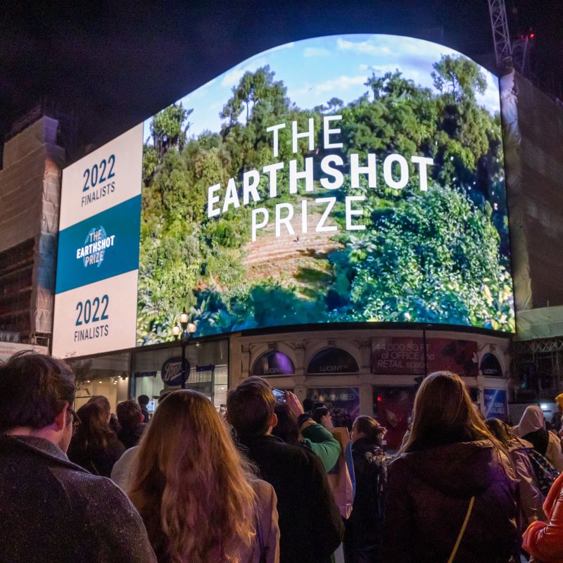 Notpla lands £1M Earthshot Prize to boost seaweed packaging R&D