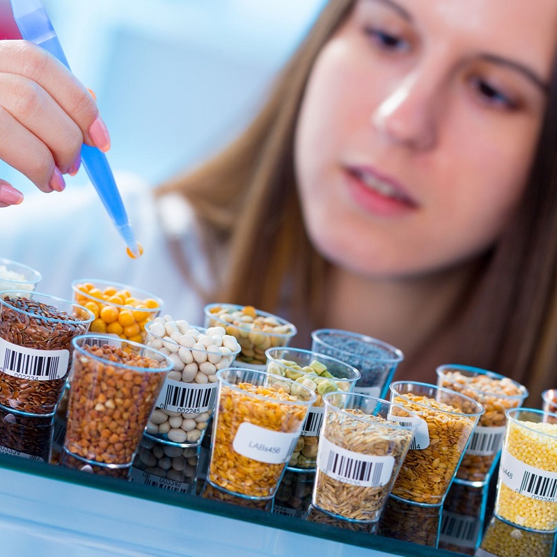 A female scientist looking at a grain of legume.