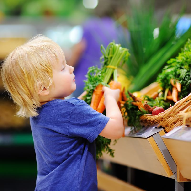 Toddler in a supermarket picking up vegetables. Toddler in a supermarket picking up vegetables.