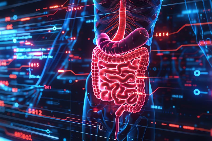 A detailed visualization of the human digestive system within a digital interface A detailed visualization of the human digestive system within a digital interface
