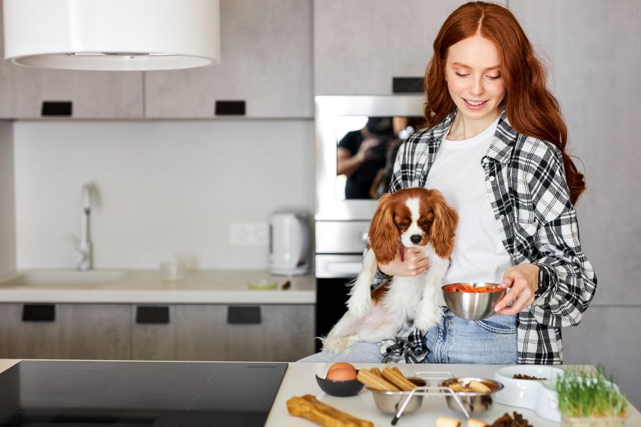 A woman makes her King Charles Spaniel food on the kitchen counter. A woman makes her King Charles Spaniel food on the kitchen counter.
