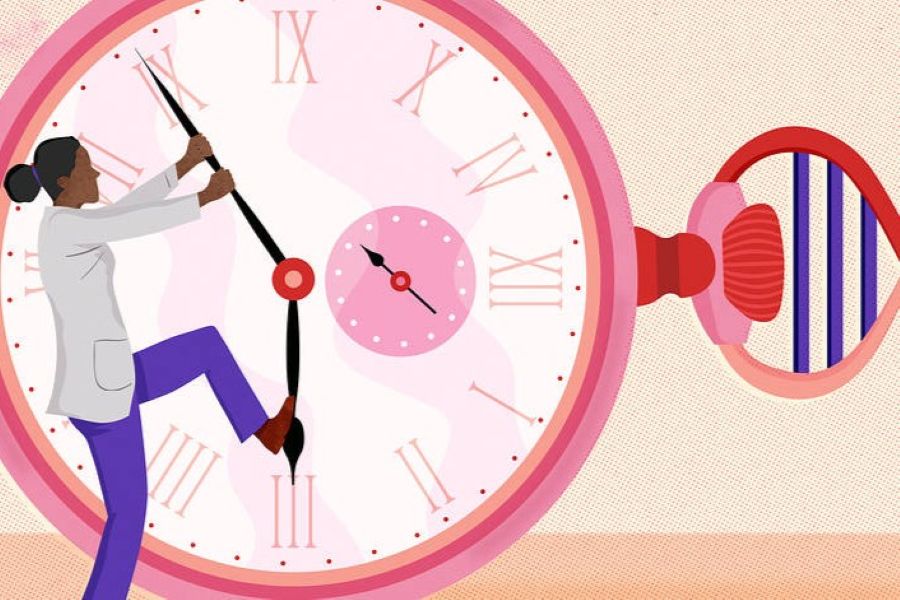 A drawing of a woman trying to turn back a big clock. A drawing of a woman trying to turn back a big clock.