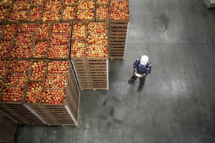 Top view of worker standing by apple fruit crates in organic food factory warehouse
