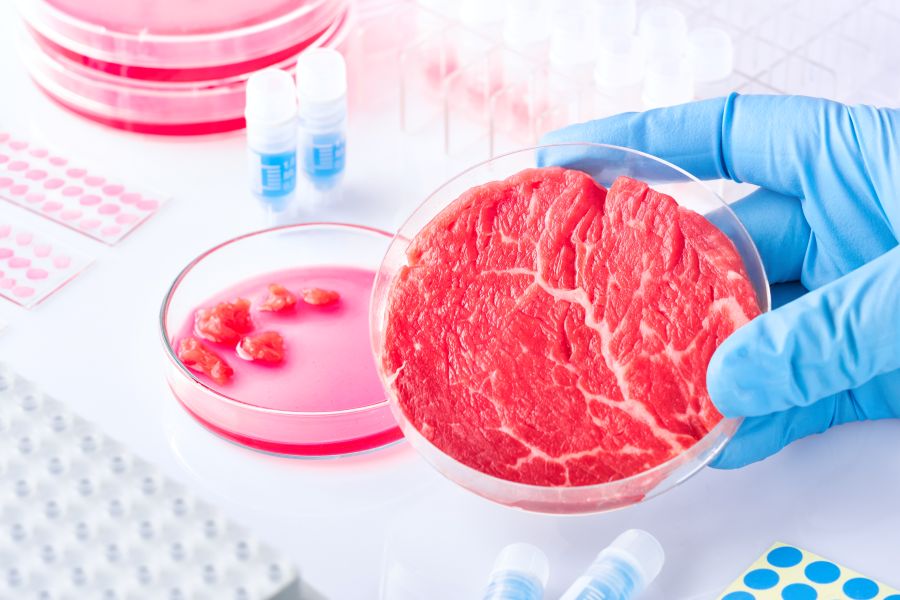 Lab grown meat in a petri dish being held by a scientist in a lab.