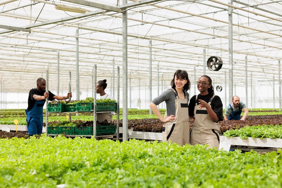 diverse women in an organic hydroponic farm talking