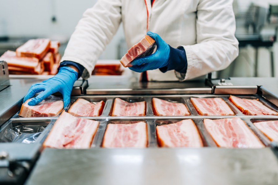 Factory worker lays out pork cuts on production line.