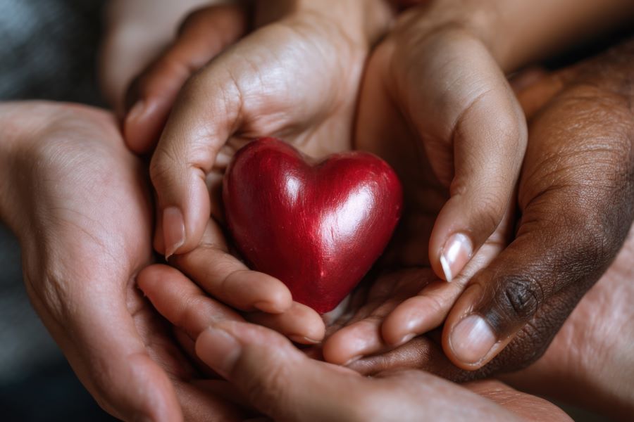 A close-up shot captures diverse hands cradling a vibrant red heart A close-up shot captures diverse hands cradling a vibrant red heart