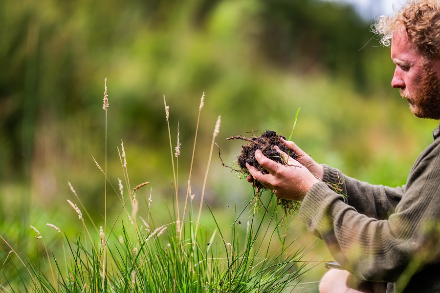 man in brown sweater holding soil in his hands man in brown sweater holding soil in his hands