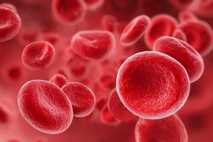Red blood cells