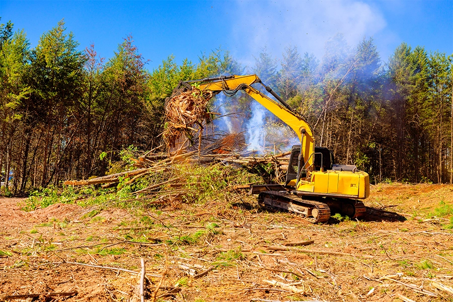 EU Parliament approves Deforestation Regulation delay and revision