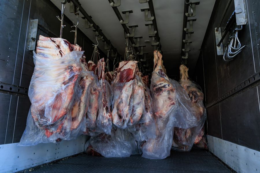 British beef enters US market tariff-free amid severe supply shortage