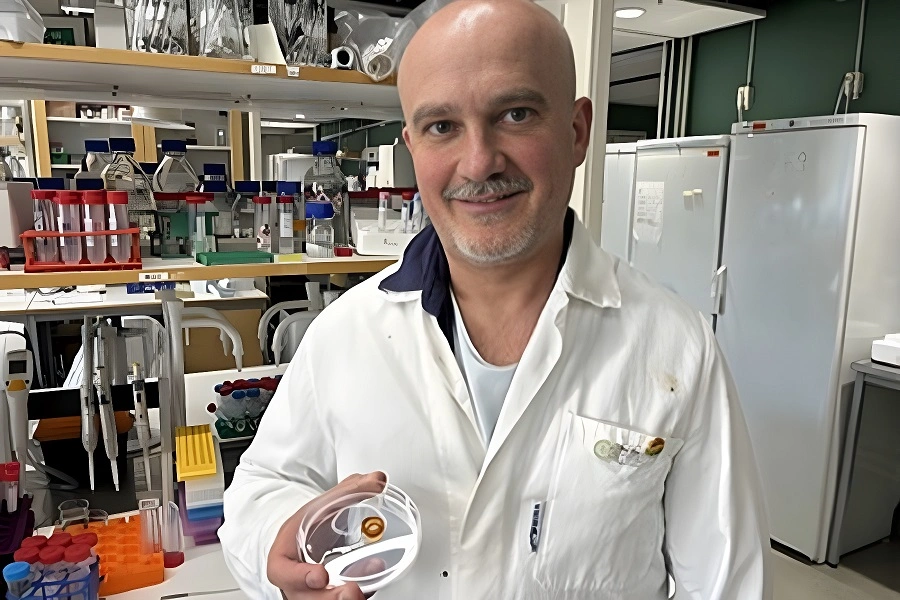 Researchers find upcycled wheat bran gel can improve plant-based food texture