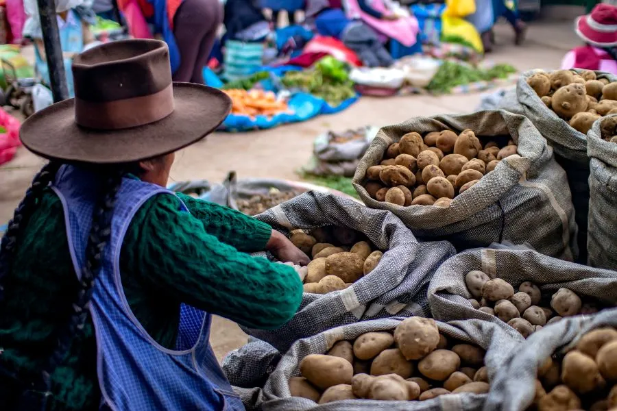 Pesticide Cocktails Raise Cancer Risk by 150% in Peru, Study Finds — image 1