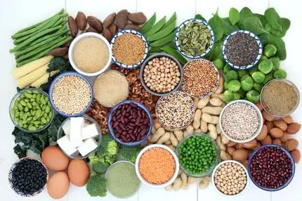Plant-based proteins drive innovation as consumers seek eco-friendly and health-conscious food