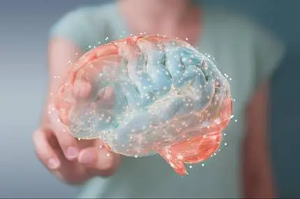 Brain health boosters: Ingredient innovation for stress resistance, mood elevation and cognition