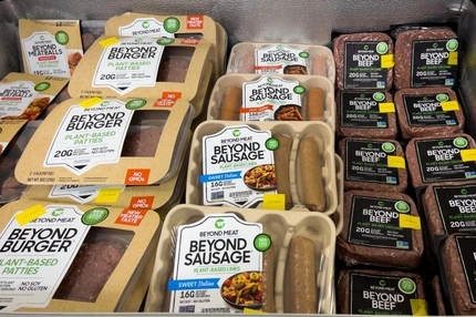 EU “meaty” label ban talks collapse into prolonged regulatory limbo