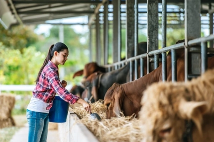 How dsm-firmenich Animal Nutrition & Health turns farm-level decarbonization into business value