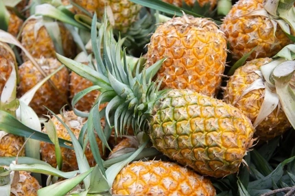 Active Concepts reveals how pineapple waste can power clean cosmetics