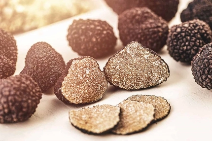MycoTechnology unlocks honey truffle sweet protein for sustainable sugar reduction