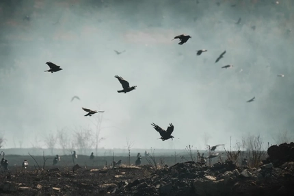 FoodChain ID’s new partnership breathes life back into Ukraine’s war-torn farmland