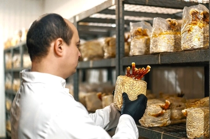 Functional mushrooms move beyond supplements into mainstream F&B ingredients