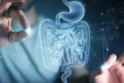 Image Diagram of digestive tract