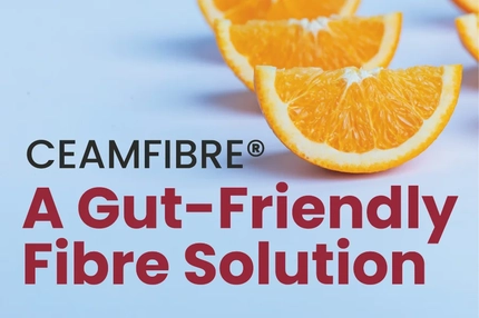 TechnicalPaperCeamsa