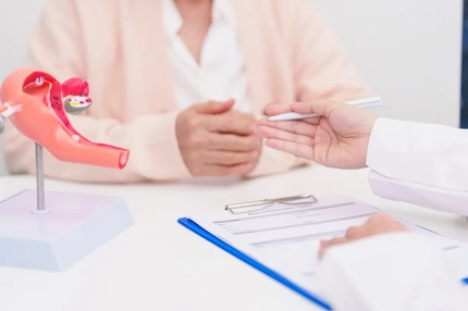 patient consults with doctor with vagina model on table