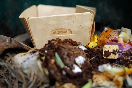 Image Packaging sitting in a compost pile.