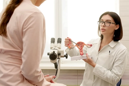Image A gynecologist explains female diseases to a patient using a plastic model of the uterus in a modern clinic