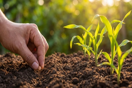Image Farmer planting seeds in a field.