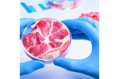 Cultured meat: Matrix Meats’ exec details nanofiber system that “mimics ...