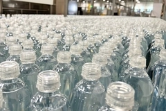 Rows of empty bottles in a factory