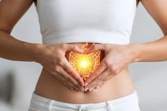 Human digestive system Human digestive system