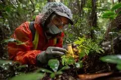A girl in a rainforest.