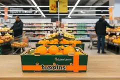 A box of oranges in a grocery store