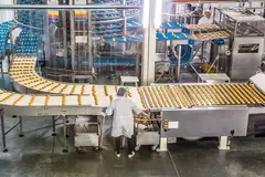 woman worker inspecting cakes on conveyor belt in factory