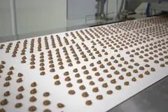 Chocolate alternative being made at factory.