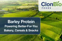 Technical paper - Barley Protein Powering Better-For-You Bakery, Cereals & Snacks