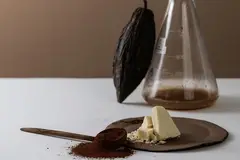 Celleste Bio launches cell-cultured cocoa butter amid supply challenges