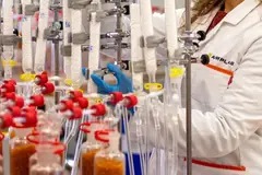 Aimplas secures certification to award “industrially compostable” labels