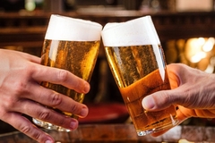 Technical paper - Maintenance Ale 20 09