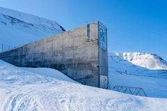 “Doomsday vault”: Seed samples deposited in Norway to conserve crop diversity