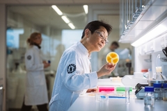 Chef working on a lab-grown fungi as part of the Nomo and Novonesis partnership.