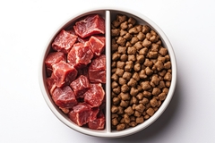 Dog kibble and raw meat