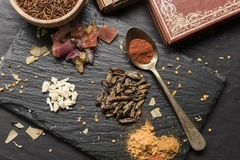 Insect farming scrutinized: New study casts doubt on alternative protein’s credentials