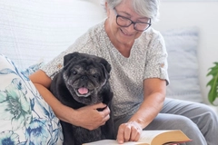 pug dog looking at book with his senior owner, together on couch at home