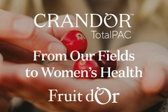 Technical Paper Technical Paper