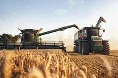 Tractor in a field of wheat. Tractor in a field of wheat.