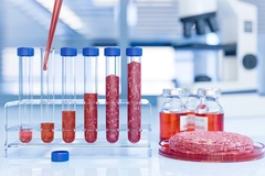 cell based beef in test tube and petridish in lab cell based beef in test tube and petridish in lab